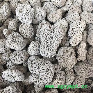 海石花 石花 海浮石花 矿石大全 产地 广东省 买好药找娟子图3