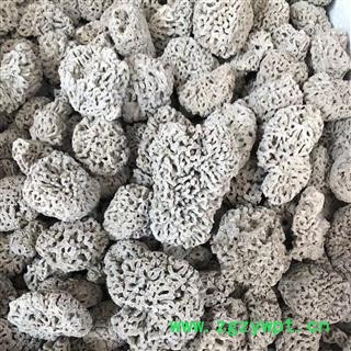 海石花 石花 海浮石花 矿石大全 产地 广东省 买好药找娟子图2