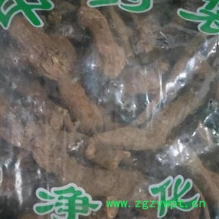 安祁名药野生木香 土木香图2