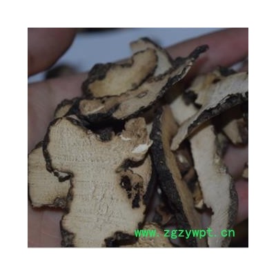 新辉药业中药材猪苓