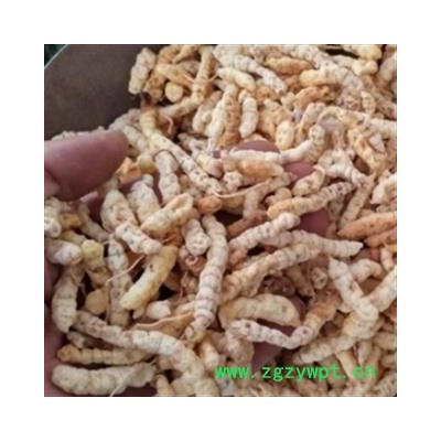 安祁名药优质地蚕 草石蚕