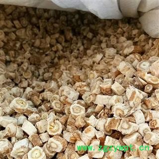 安祁名药沙参 北沙参 内蒙古沙参图2