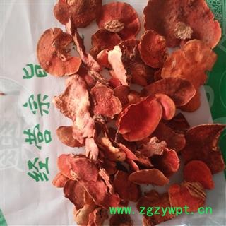 新辉药业血灵芝 牛樟芝 牛樟菇 红樟芝“台湾红宝石”图3