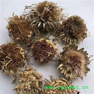 安祁名药漏芦  漏芦花 实物拍摄正品销售图2