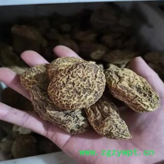 安祁名药金果榄 金果榄统货 产地 广东省图2