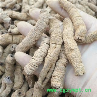 安祁名药正品巴戟天 巴戟肉 抽心率高达95%图2