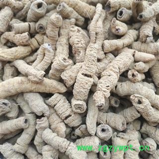 安祁名药正品巴戟天 巴戟肉 抽心率高达95%图4