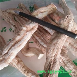 安祁名药优质花粉 祁花粉 栝楼根图2