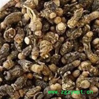 安祁名药玛咖 黑玛卡 玛咖图2