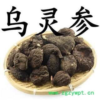 乌灵参 乌苓参 雷震子 乌丽参 正品保证质量7天无理由退货退款 华安堂图3