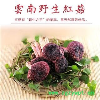 红菇纯野生红菇正品保证质量7天无理由退货退款 中药材批发 丽丽药业图3