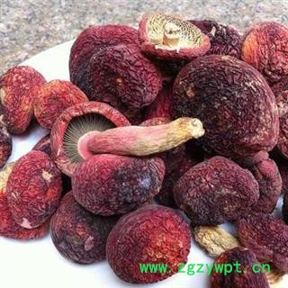 红菇纯野生红菇正品保证质量7天无理由退货退款 中药材批发 丽丽药业图2