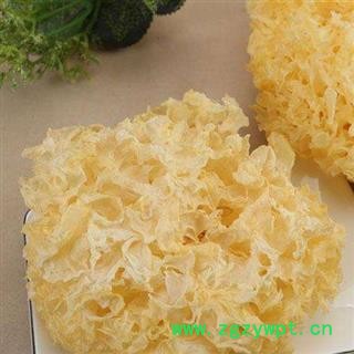 银耳无硫选货正品保证质量7天无理由退货退款 中药材批发 丽丽药业图2