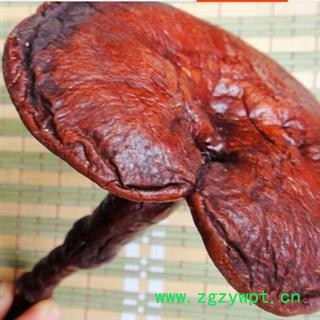 灵芝个颜色鲜艳正品保证质量7天无理由退货退款 中药材批发 丽丽药业图3