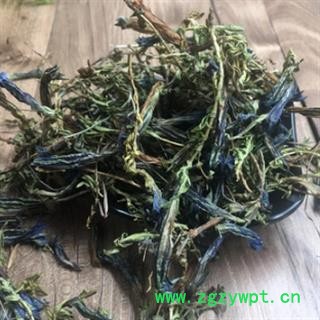 安祁名药正品龙胆花 虞美人 龙胆图2