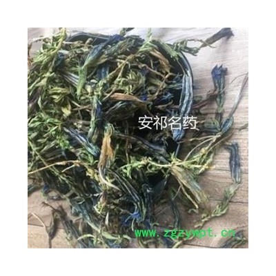 安祁名药正品龙胆花 虞美人 龙胆