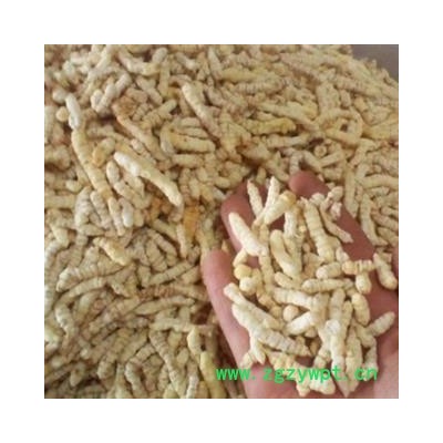 安祁名药正品地蚕 草石蚕 优质选货