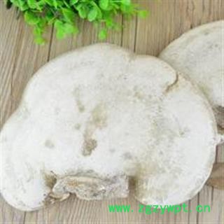 苦白蹄 阿里红 玉芝 落叶松茸 层孔菌 白灵芝 正品保证质量7天无理由退货退款 华安堂图2