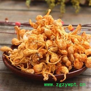 孢子头 金虫草正品保证质量7天无理由退货退款 中药材批发 丽丽药业图2