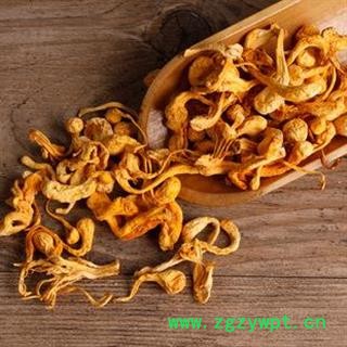 孢子头 金虫草正品保证质量7天无理由退货退款 中药材批发 丽丽药业图4