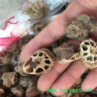 安祁名药藕节 生藕节图2