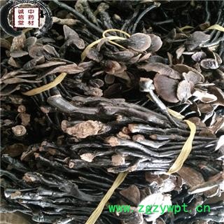 灵芝 选 竹灵芝 德誉堂药业批发各种中药材图4