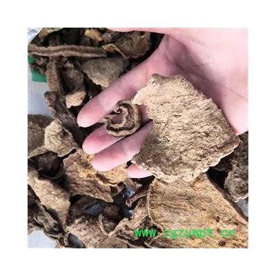 安祁名药中药材地不容 血胆  罗锅底 金不换  山乌龟