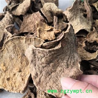 安祁名药中药材地不容 血胆 罗锅底 金不换 山乌龟图2
