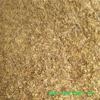 铁树叶 好货 产地 四川省成都市双流县图4