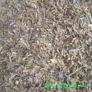 铁树叶 好货 产地 四川省成都市双流县图2