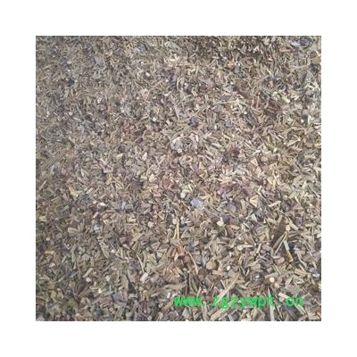 铁树叶 好货 产地 四川省成都市双流县