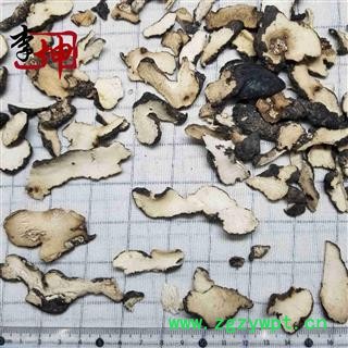 【99包邮】猪苓 水洗统片 陕西产【良心经营 品种齐全】图4