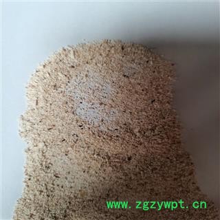 茯苓 小米粒 产地 安徽省马鞍山市雨山区图3