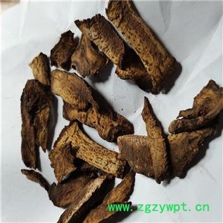 松茸 统 产地 黑龙江省图3