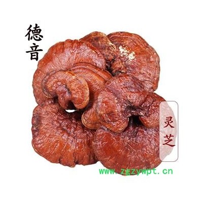 【满包邮】灵芝 统个 产地 吉林 买好货 选德音 正品溯源 规范标准 三证齐全 全品类药材一站购齐