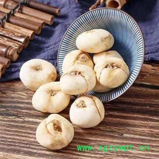 大贝母 精选贝母个 日晒无硫500g图3