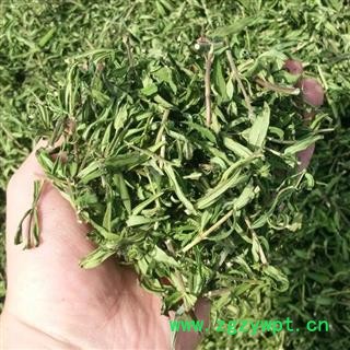 黄芩叶茶 秦岭优质特级黄芩 手工切段 日晒碧绿干净500g图2