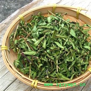 黄芩叶茶 秦岭优质特级黄芩 手工切段 日晒碧绿干净500g图4