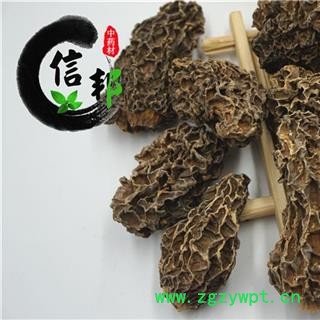 野生羊肚菌正宗西藏野生羊肚菌大个去梗专营贵细类冷被偏门产地直销合作共赢专注品质，诚信信邦！图2