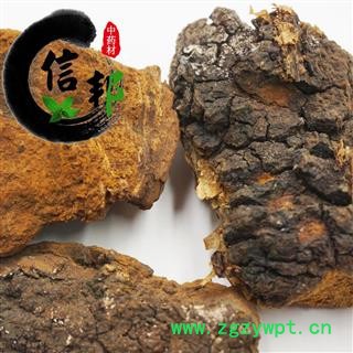 白桦茸桦树茸辽宁桦树茸1公斤起售欢迎选购一手货源合作共赢专注品质，诚信信邦！图4