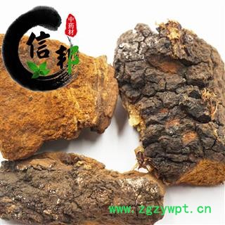 白桦茸桦树茸辽宁桦树茸1公斤起售欢迎选购一手货源合作共赢专注品质，诚信信邦！图3