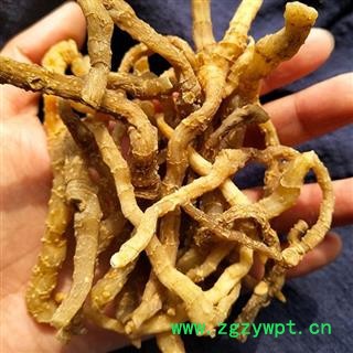 秦岭优质玉竹 玉竹个子 乡亲自刨 手工挑选500g图3