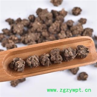 秦岭优质正品猫爪草 手工挑选 日晒干净无硫500g图3