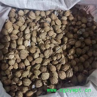 川砂仁 统 产地 四川省泸州市纳溪区图3