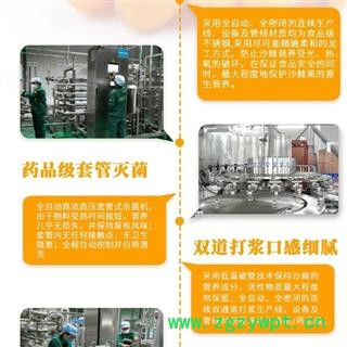 沙棘全浆粉/沙棘全果粉图4