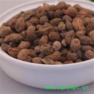 灵吉药业 益智仁 地道药材   批发各类规格中药材图3