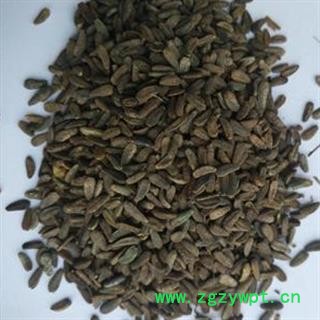 灵吉药业 牛蒡子 别名:大力子 产地直销 货真价实 批发各种规格中药材 花茶 矿石 冷背珍稀野生药材图3