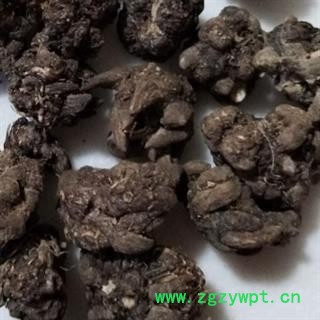 猫爪草 家种猫爪草中选货1.0-1.4 产地 安徽省图2