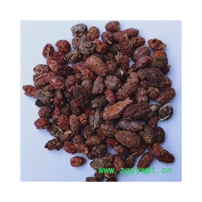 砂仁 进口砂仁米统货 产地 广东省佛山市高明区