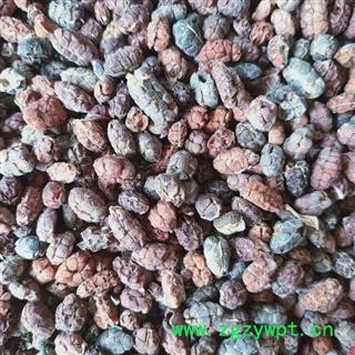 砂仁 进口砂仁米统货 产地 广东省佛山市高明区图4